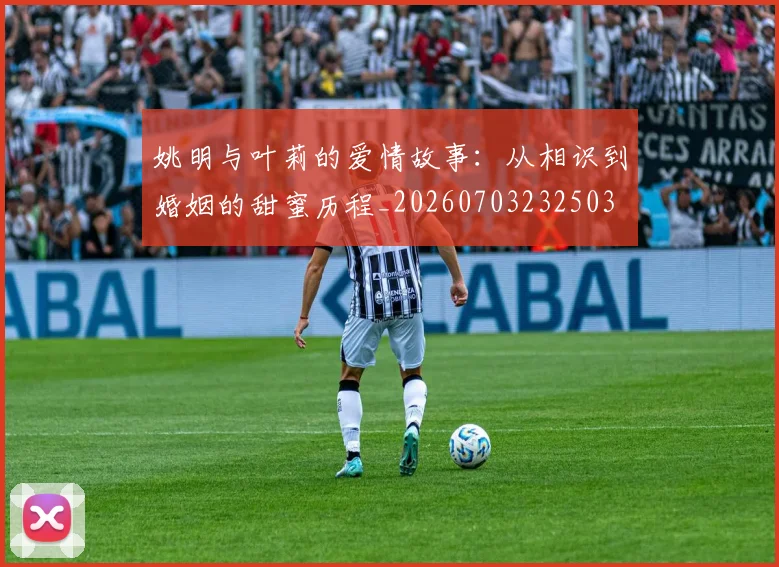 姚明与叶莉的爱情故事：从相识到婚姻的甜蜜历程_20260703232503
