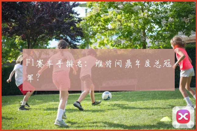 F1赛车手排名:谁将问鼎年度总冠军?