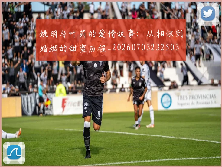 姚明与叶莉的爱情故事：从相识到婚姻的甜蜜历程_20260703232503