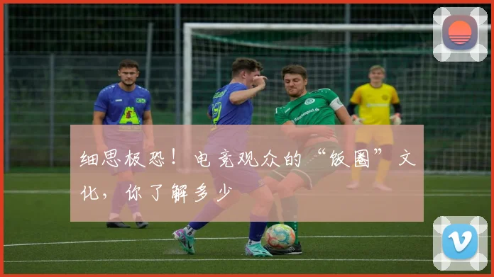 细思极恐！电竞观众的“饭圈”文化，你了解多少